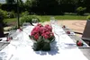 Bloomique - Lot de 3 - Kalanchoé - Fleurs roses - Plante Voir les images du produit 4