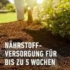 COMPO 11224Uniwersalna ziemia bez torfu 7,5 litra Podgląd zdjęcia produktu 10