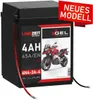 LANGZEIT 6N4-2A-4 GEL Roller Batterie 6V 4Ah 45AEN 00414 Produktbild-Vorschau 1