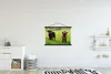 MuchoWow® Textilposter Schottische Highlander - Gras - Kühe Produktbild-Vorschau 2