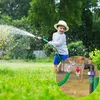 A young boy is watering plants in a garden with a hose. Podgląd zdjęcia produktu