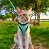 Sonstiges Katzenzubehör, Brustgeschirre, Leuchtgeschirr für Produktbild-Vorschau 2