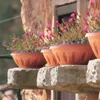Pot de fleurs - ALBA - D 80 cm - Terracotta Voir les images du produit 2