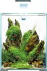 A small, well-decorated aquarium with plants and rocks, featuring two red shrimp. Podgląd zdjęcia produktu