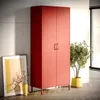 A red metal wardrobe is placed in a room with a framed picture and a plant. Anteprima dell’immagine prodotto