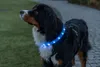 TRIXIE Flash Leuchtband USB, extra breit - blau - 70 cm/30 Produktbild-Vorschau 6