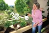 Solo 402 SP Drucksprühgerät 2 Liter Handsprühgerät Produktbild-Vorschau 3