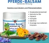 PALACIO Pferdebalsam Kühlendes Massagegel 600 ml – für Produktbild-Vorschau 3