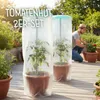 KHW-Tomatenhut inklusiv Stab und Schutzfolien. Anzuchthilfe Produktbild-Vorschau 2