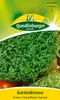 Quedlinburger Saatgut - Gartenkresse Krause - Samen - Produktbild-Vorschau 5