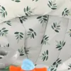 Qute Q-Cooper Laufstuhl - Herbal Green | Qute Produktbild-Vorschau 7