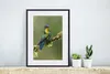 MuchoWow® MuchoWow® Gerahmtes Poster Vogel - Kolibri - Produktbild-Vorschau 6