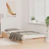 A bedroom scene with a single bed, a lamp, and a window with plants. Náhled obrázku produktu