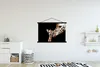 MuchoWow® Textilposter Giraffe - Tiere - Schwarz - Porträt Produktbild-Vorschau 2