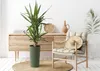 HowHomely | Fioriera, set di 2 vasi da fiori, vaso per Anteprima dell’immagine prodotto 8