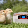 Kruger Meier ProEggora 56 Auto - inkubator z termostatem na Podgląd zdjęcia produktu 15