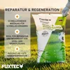 FUXTEC Rasensamen Spiel- & Sportrasen FX-RSSP5 | robuster Produktbild-Vorschau 4