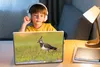 MuchoWow® Laptop Aufkleber Sticker Cover Vogel - Gras - Produktbild-Vorschau 3