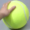 Duża piłka tenisowa dmuchana dla psa 24 cm zabawka Podgląd zdjęcia produktu 4