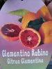 Clementino rosso Clementino Rubino Sanguinello 70-100 cm - Anteprima dell’immagine prodotto 2