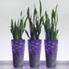 Standard LED spojovací vánoční řetěz, 10 m, venkovní i vnitřní, fialová Náhľad obrázku produktu