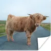 MuchoWow® Poster Scottish Highlander - Straße - Gras Produktbild-Vorschau 1