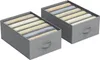 SONGMICS Kleiderschrank-Organizer 2er Set, Aufbewahrungsbox Produktbild-Vorschau 1