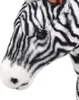 Close-up of a plush zebra toy's head. Náhled obrázku produktu