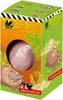 Moses 40127 Dino z vajíčka – Archeologická sada pro malé Náhled obrázku produktu 1