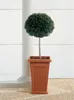 BAMA Pot de fleurs PIRAMIDE 50L, terre cuite Voir les images du produit 2