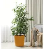 Übertopf Fyre Kunststoff Ø 40 cm H 39 cm mango inkl. Rollen Produktbild-Vorschau 2