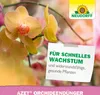 BioTrissol Plus hnojivo pro orchideje pro zdravý růst 250ml Náhled obrázku produktu 7