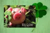 Friendly Fox Viel Glück Karte, 1x DIN A6 Klappkarte Viel Produktbild-Vorschau 7
