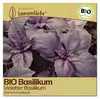 Samenliebe  Basilikum Samen | Violetter Basilikum - Produktbild-Vorschau 1