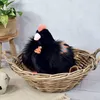 Doudou, verhalenboek over beren, pluchen kip, zwart, 28 cm Productafbeelding-voorbeeld 3
