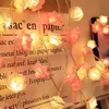 A string of rose-shaped LED lights is draped over a piece of paper with French text. Produktbild-Vorschau