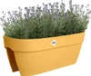 elho® Vibia campana Geländerkasten Flower Bridge Honiggelb Produktbild-Vorschau 4