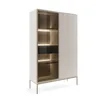 A modern vitrine cabinet with glass doors and LED lighting. Produktbild-Vorschau