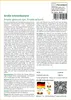 SAFLAX - Große Schneebanane - Ensete glaucum syn. Ensete Produktbild-Vorschau 3