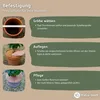 An instructional graphic showing how to use a frost protection disc for potted plants. Produktbild-Vorschau