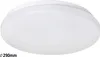 Plafón 29 cm LED 20W bílý kulatý Rob 2284 Rabalux Náhled obrázku produktu 1