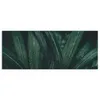 DEQORI Hybrid Leinwand Bild 125x50 cm 'Tropisches Flüstern' Produktbild-Vorschau 2