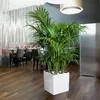 Pot de fleurs LECHUZA - Cube premium 40 - 39 x 39 x 40 cm - Voir les images du produit 11