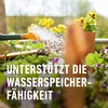 COMPO  Universal Langzeit-Dünger mit Schafwolle 2 kg Produktbild-Vorschau 12