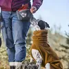 Hurtta HU-934532, Hund, Pullover, Braun, Stoff, Einfarbig Produktbild-Vorschau 10