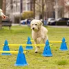 Navaris Hundetraining Hürden Set - Agility Set für kleine Produktbild-Vorschau 2