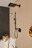 hansgrohe Raindance Select E 120 HB nero opaco, 1 pz. Anteprima dell’immagine prodotto 3