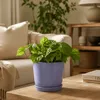 Vyveo - Bloempot Soren - Set van 2 - Zwart - 25x22 cm Productafbeelding-voorbeeld 5