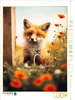 CALVENDO Puzzle Rotfuchs im Sommer | 1000 Teile Lege-Größe Produktbild-Vorschau 1