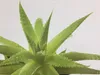 Tabaibaloe Aloe Vera Duschgel 250ml Produktbild-Vorschau 6